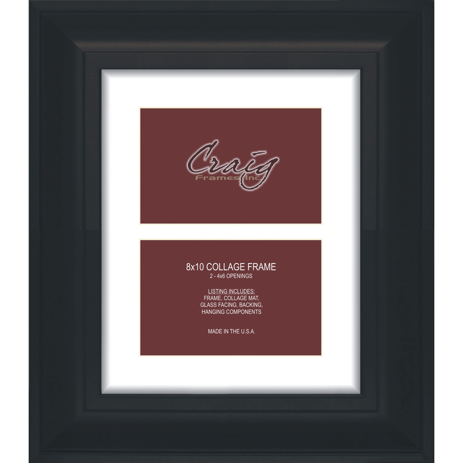 Craig Frames Contemporary Upscale 2 Photo Collage Frame, 2 4x6 Openings